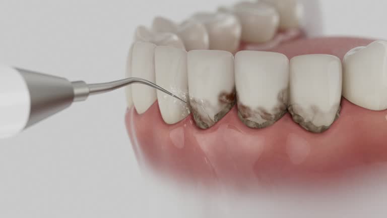 Reliable Dental contractor in Boutte, LA by Dentist Open Now
